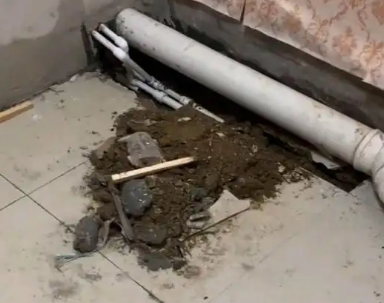 维西卫生间漏水检测哪家好