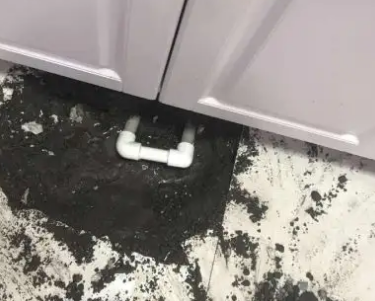 维西查漏水哪家好